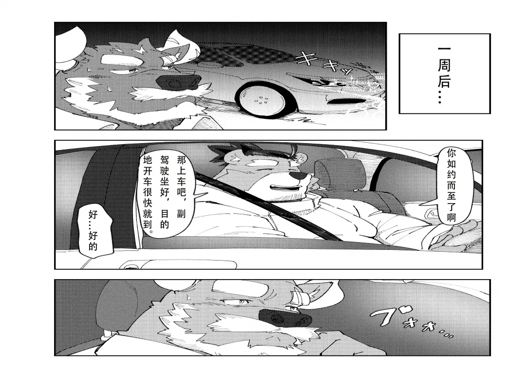 Image #14