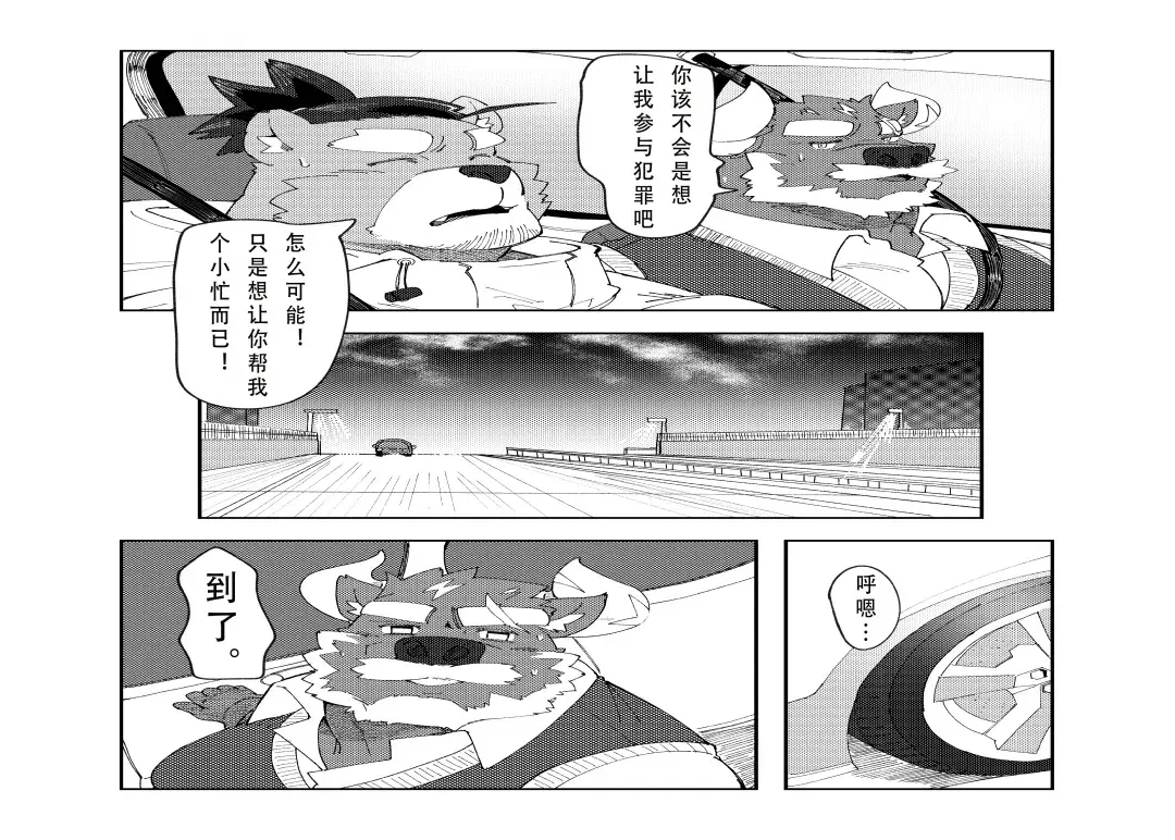 Image #15