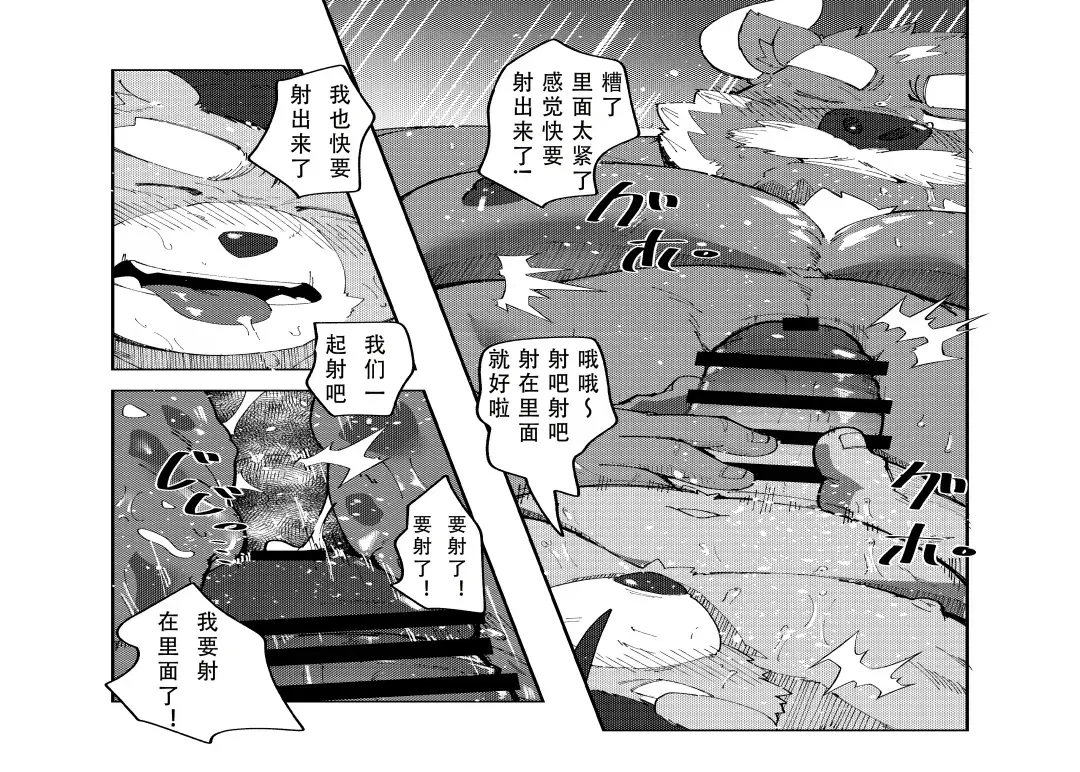 Image #33