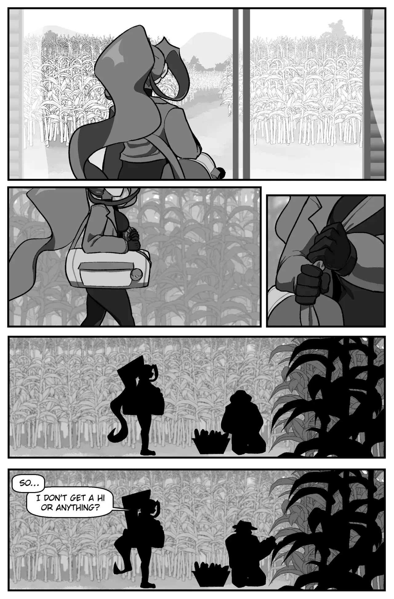 Image #17