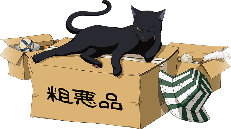 Image #582