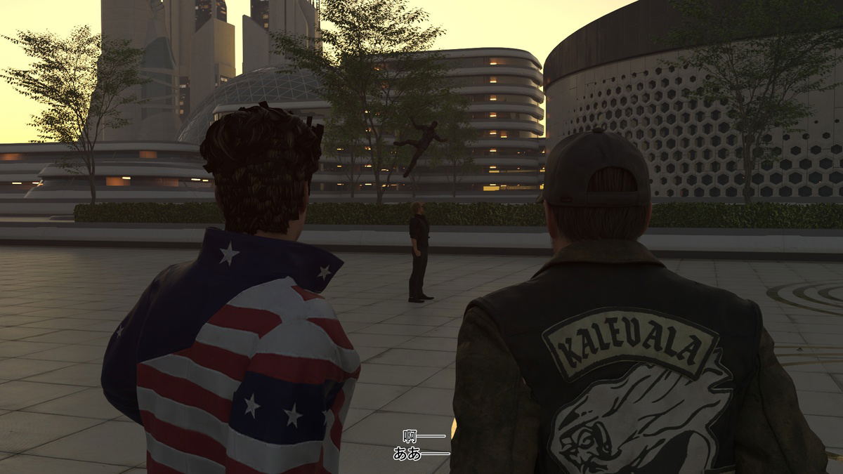Image #14