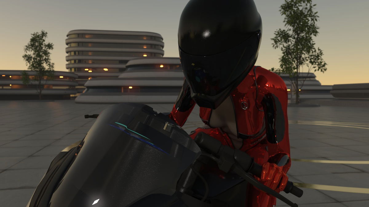 Image #16