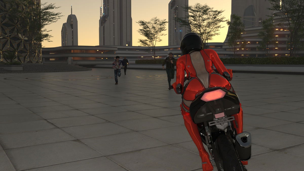 Image #17