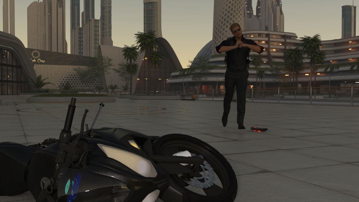 Image #29