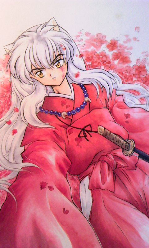 Image #11