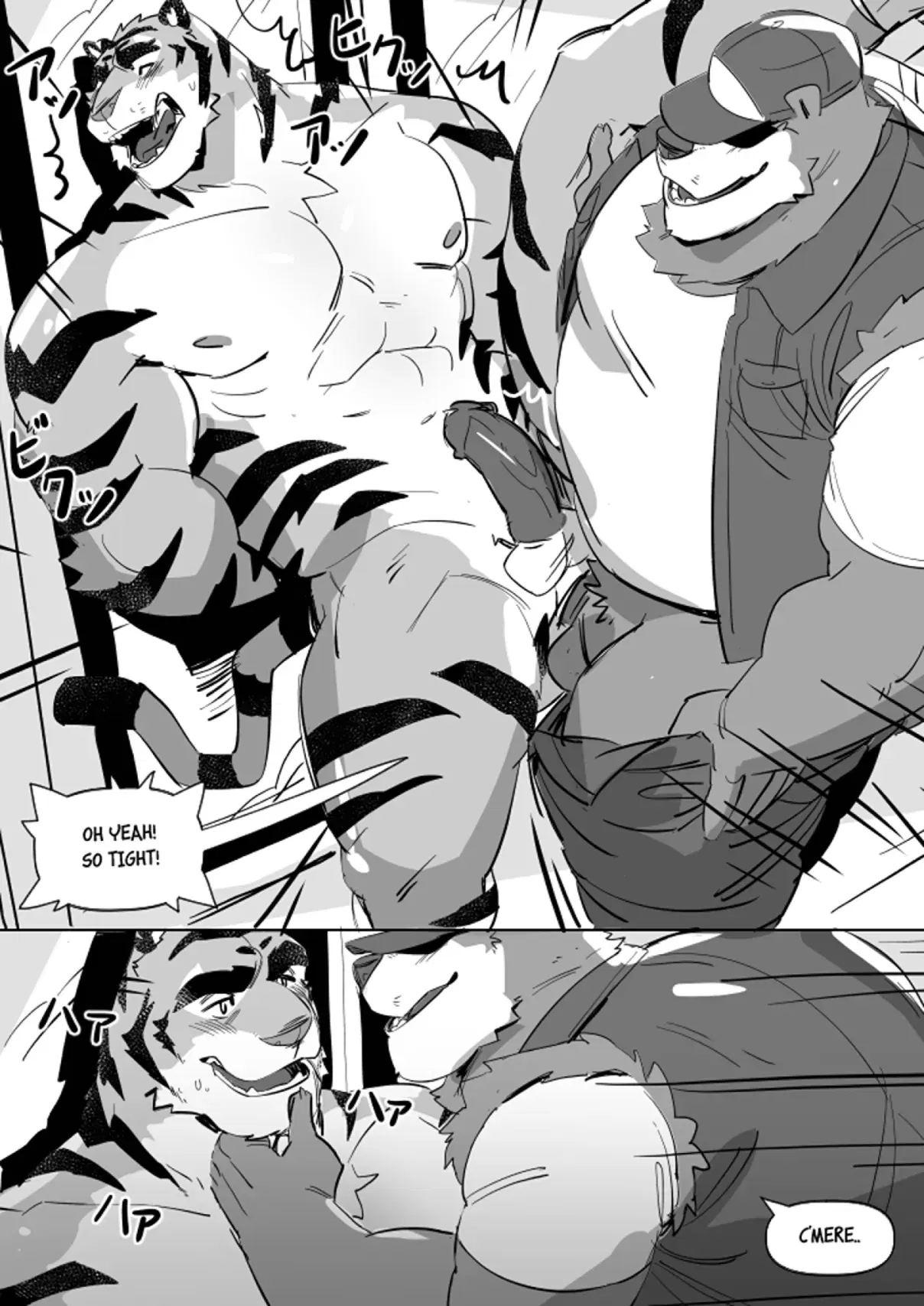Image #14