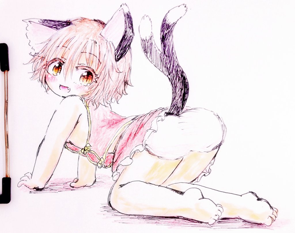 Image #16