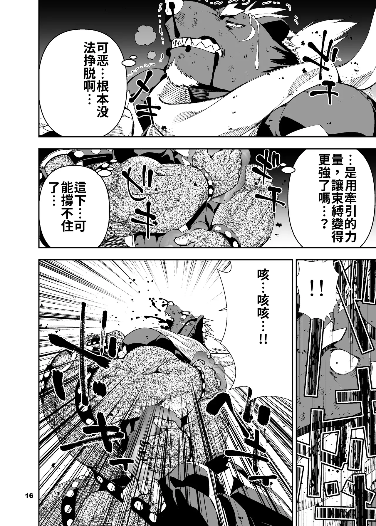 Image #17