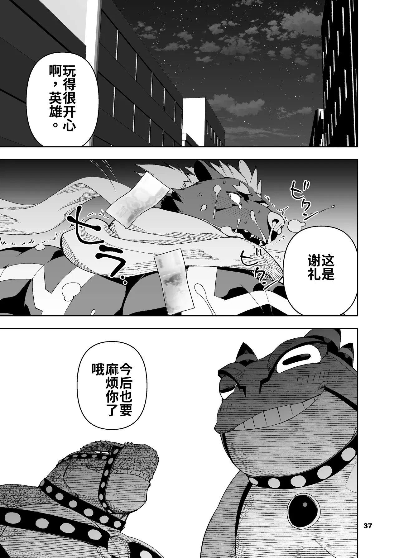 Image #38