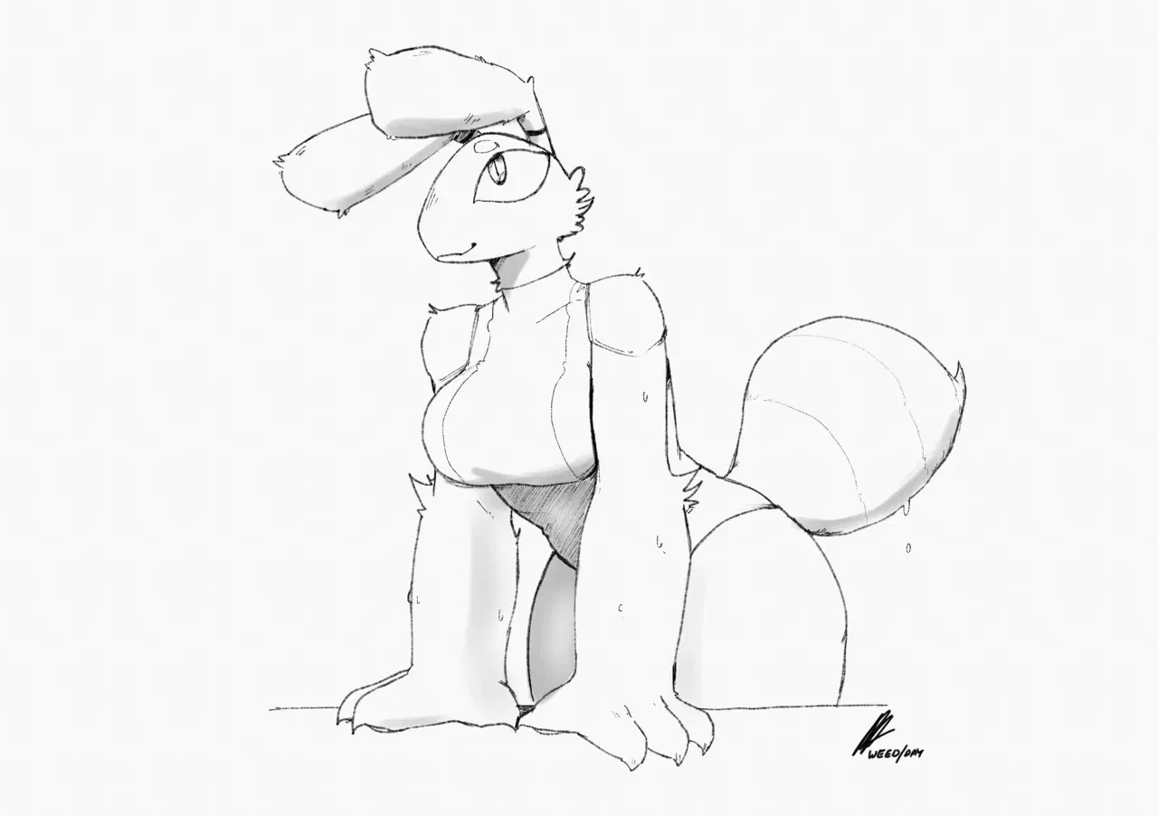 Image #10