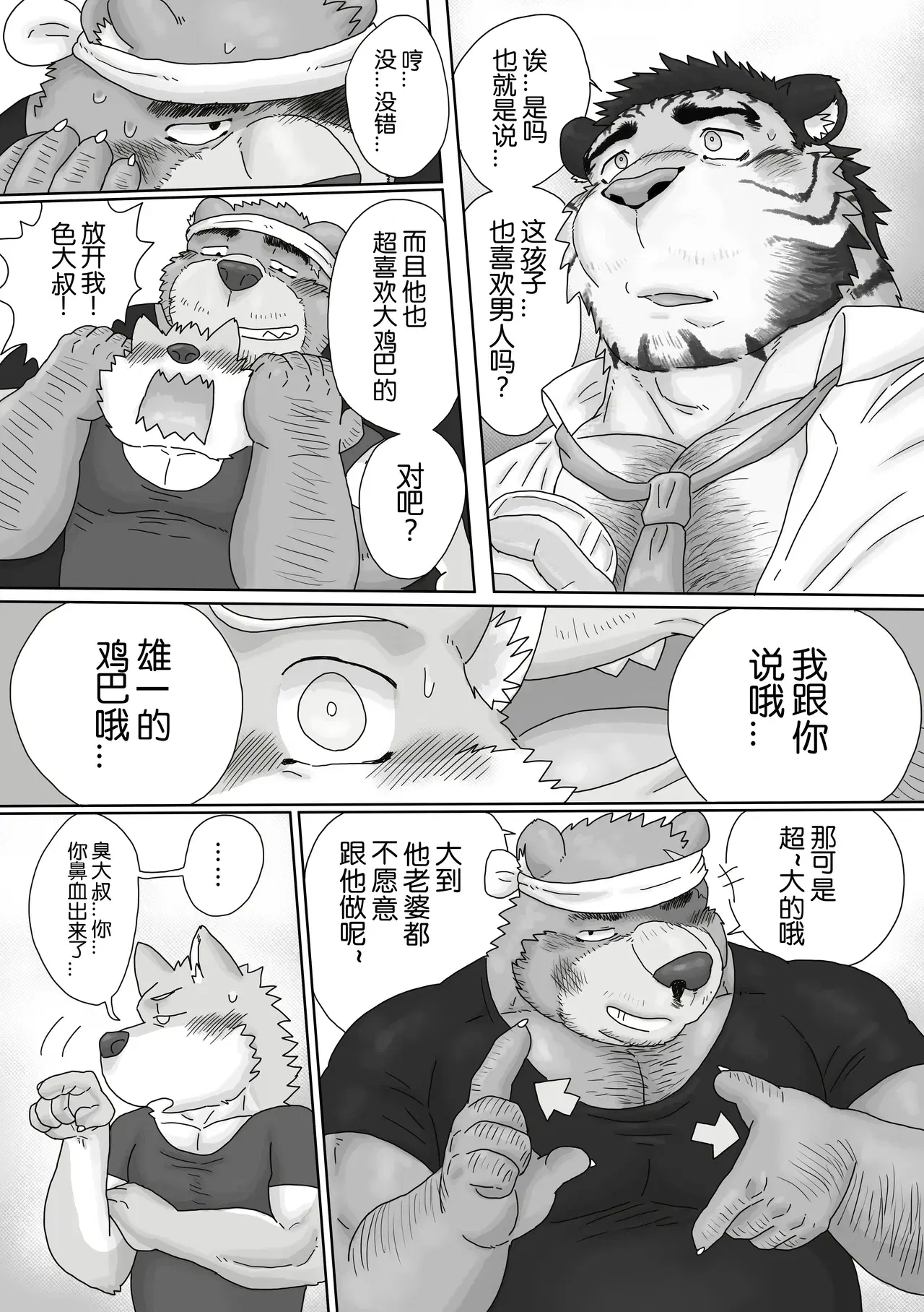 Image #12