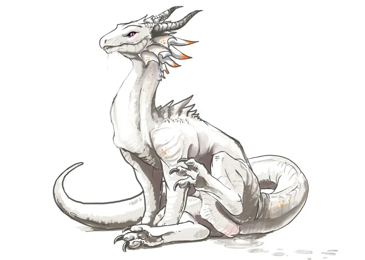 Image #11
