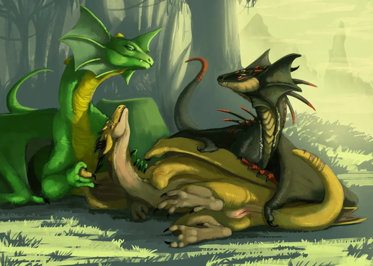 Image #13