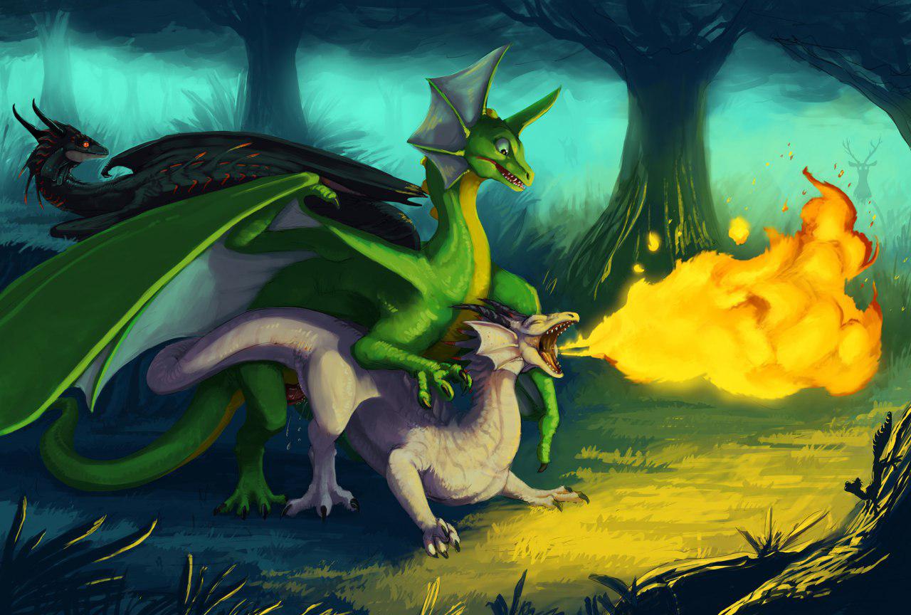 Image #14