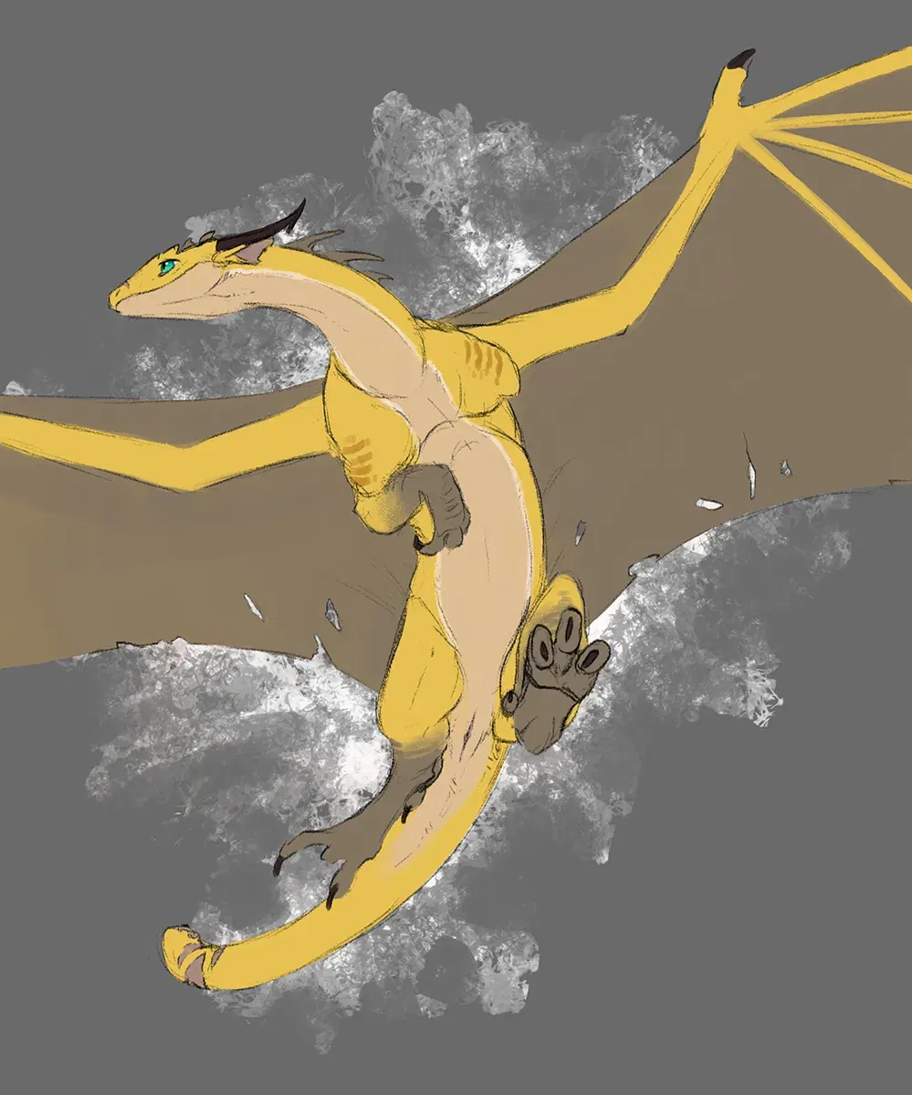 Image #160