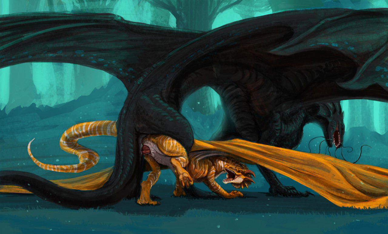 Image #17