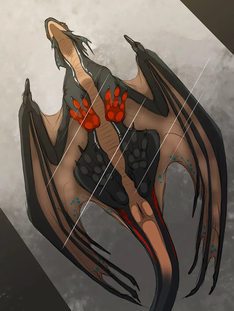 Image #186
