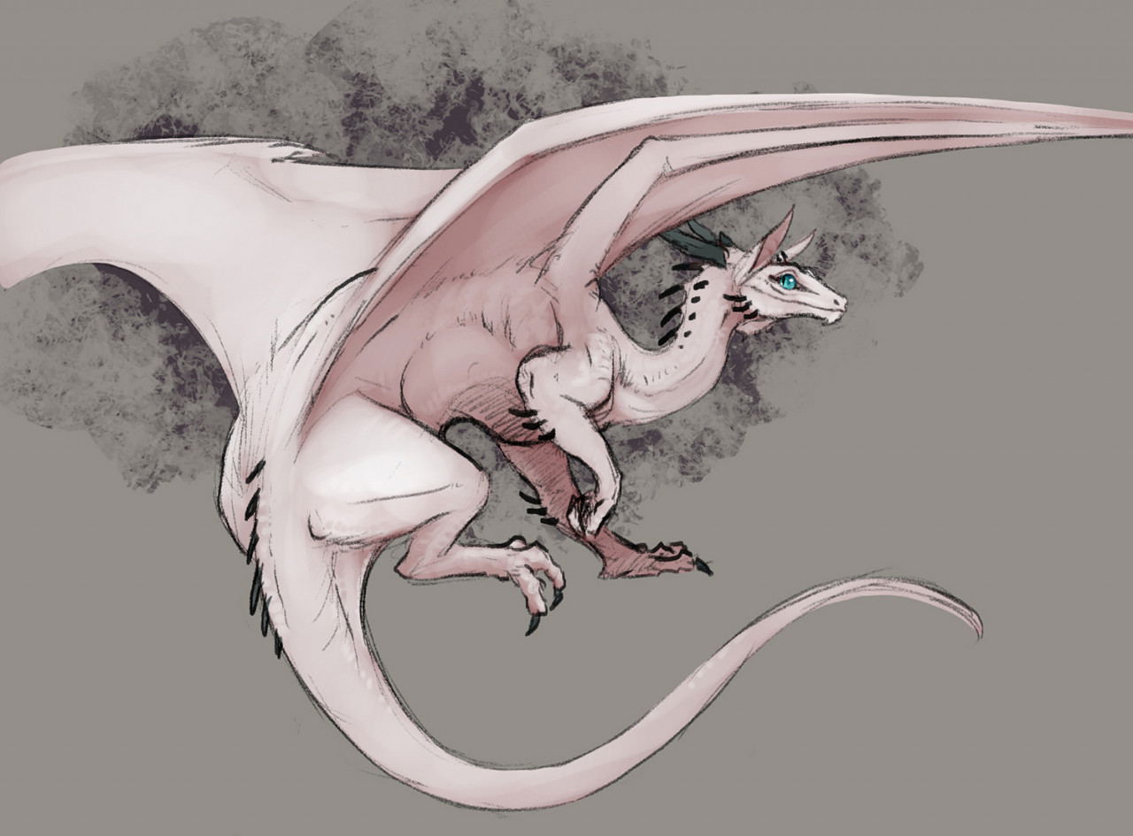 Image #191