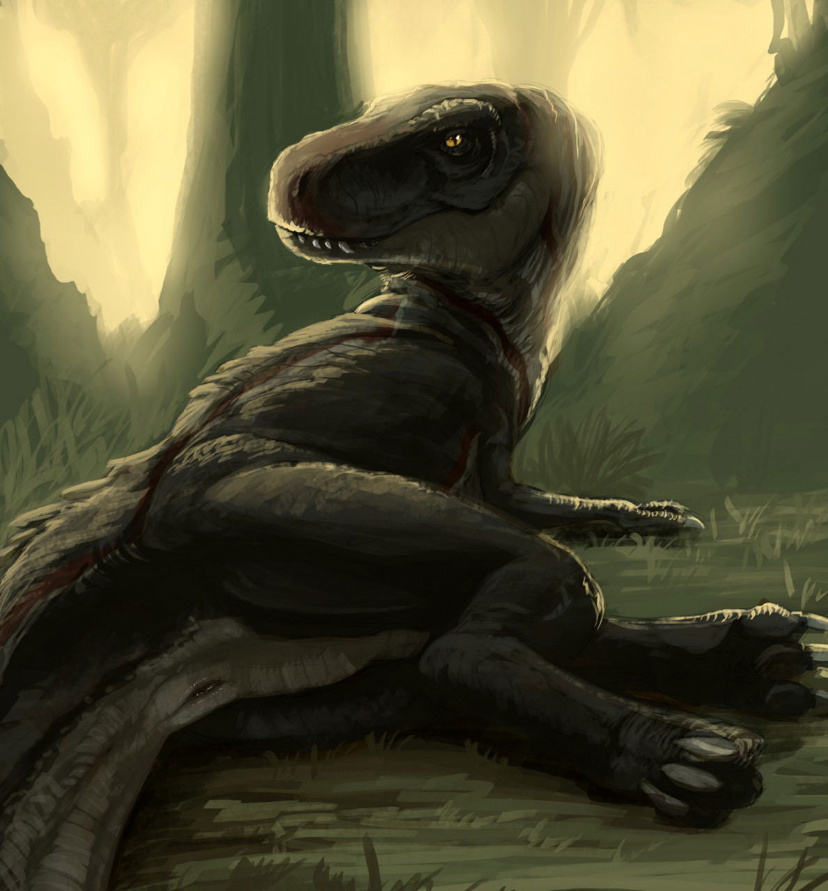 Image #20