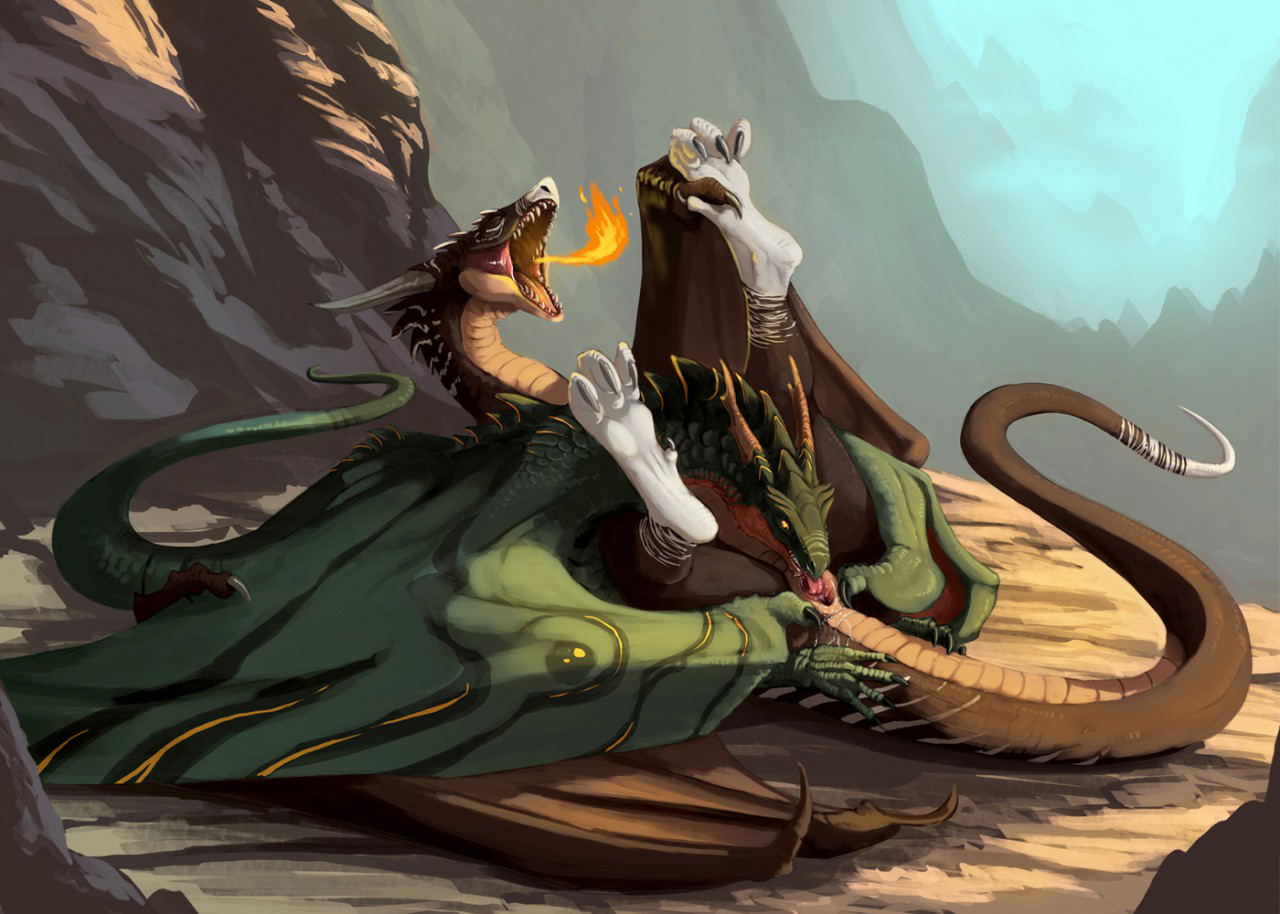 Image #21