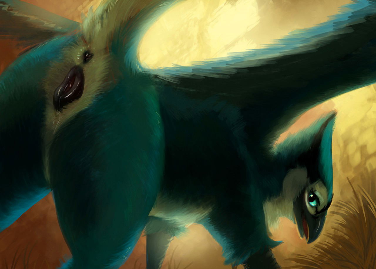 Image #23