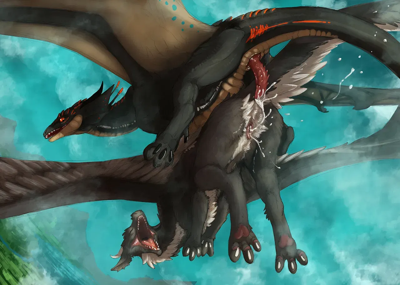 Image #29
