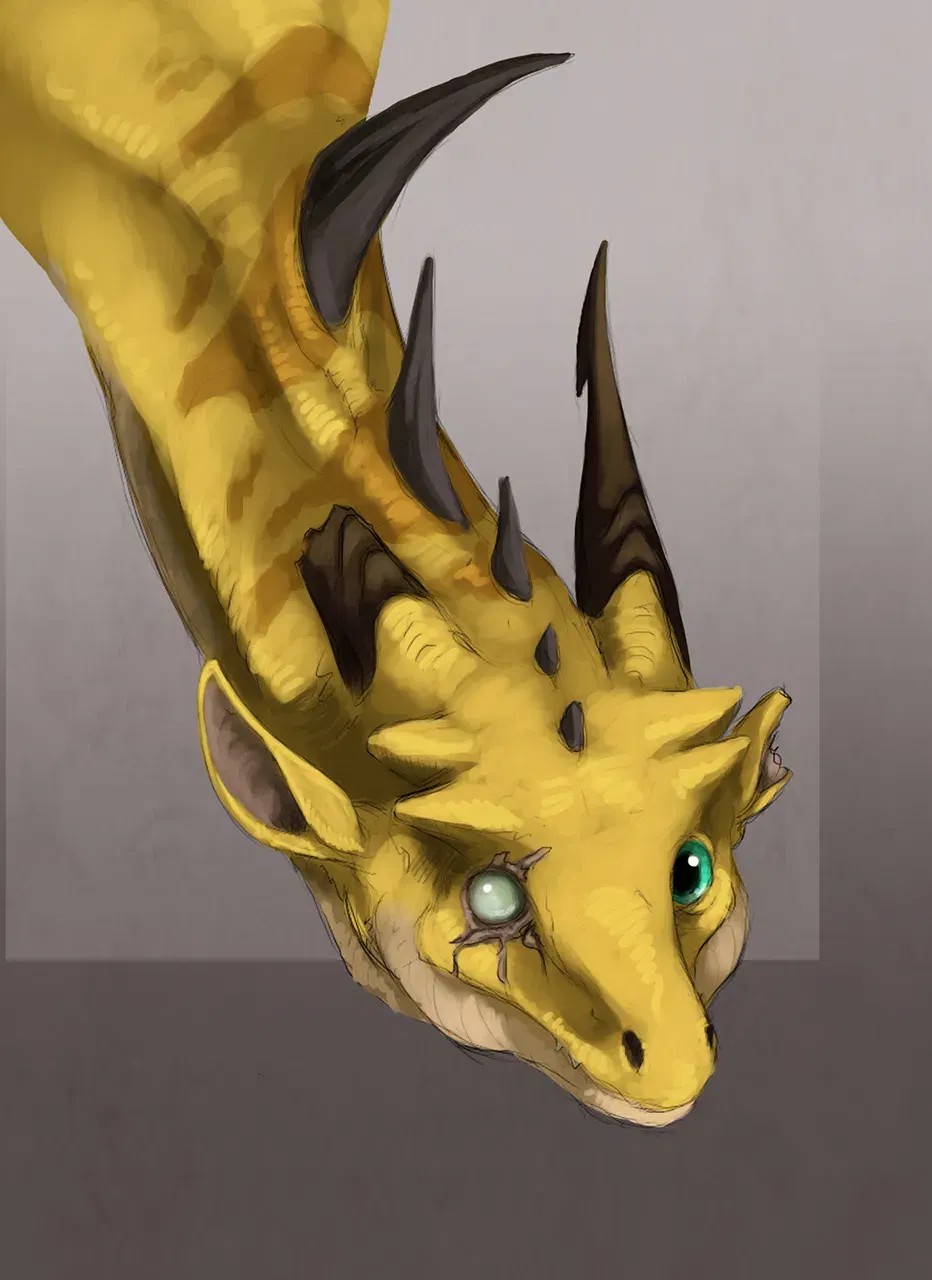 Image #33