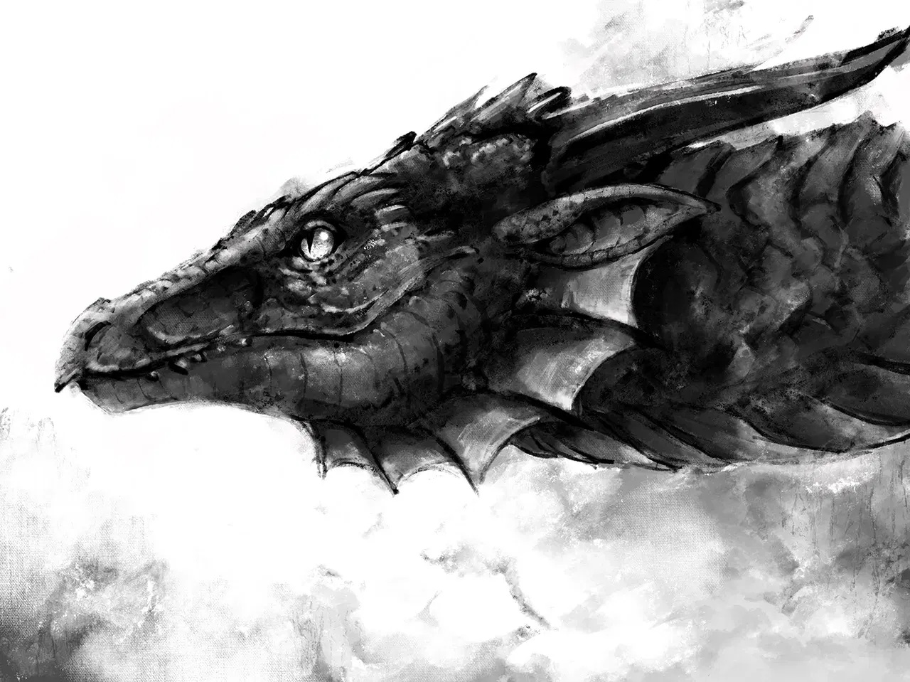 Image #369