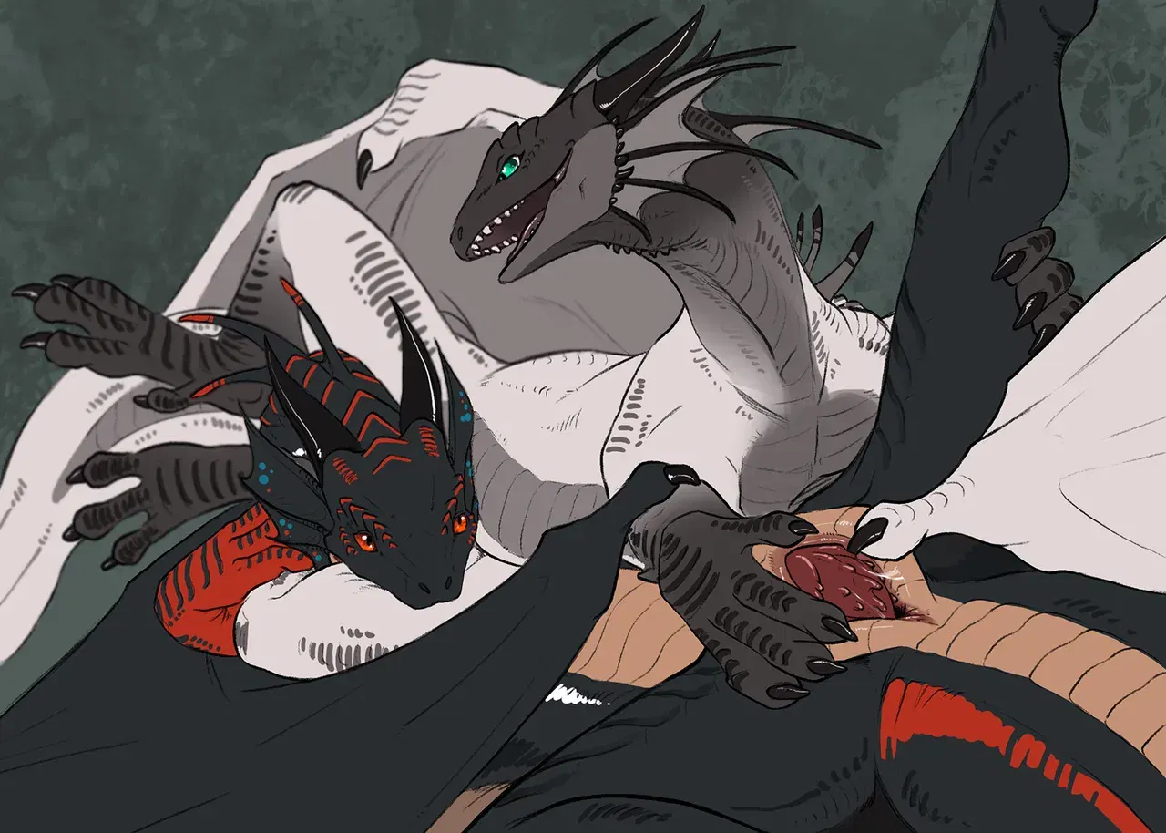 Image #447