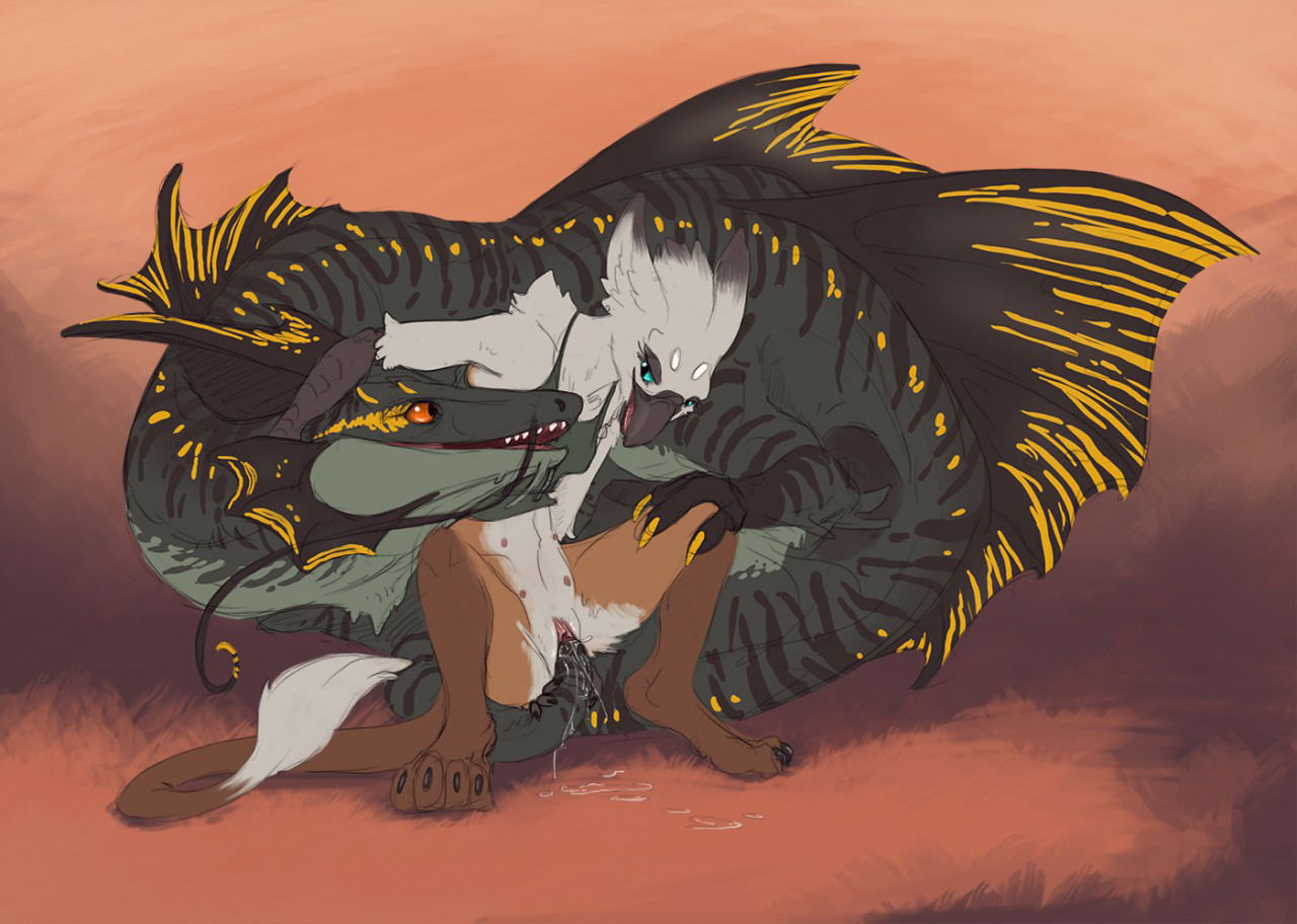 Image #47
