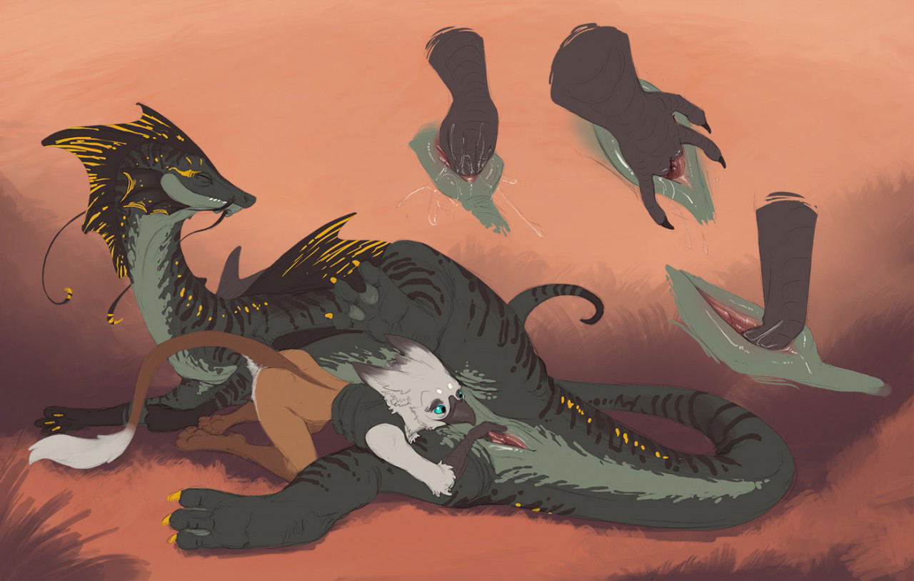 Image #48
