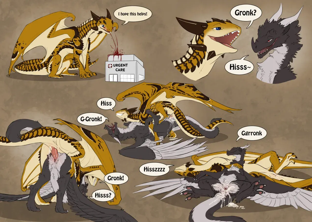 Image #504