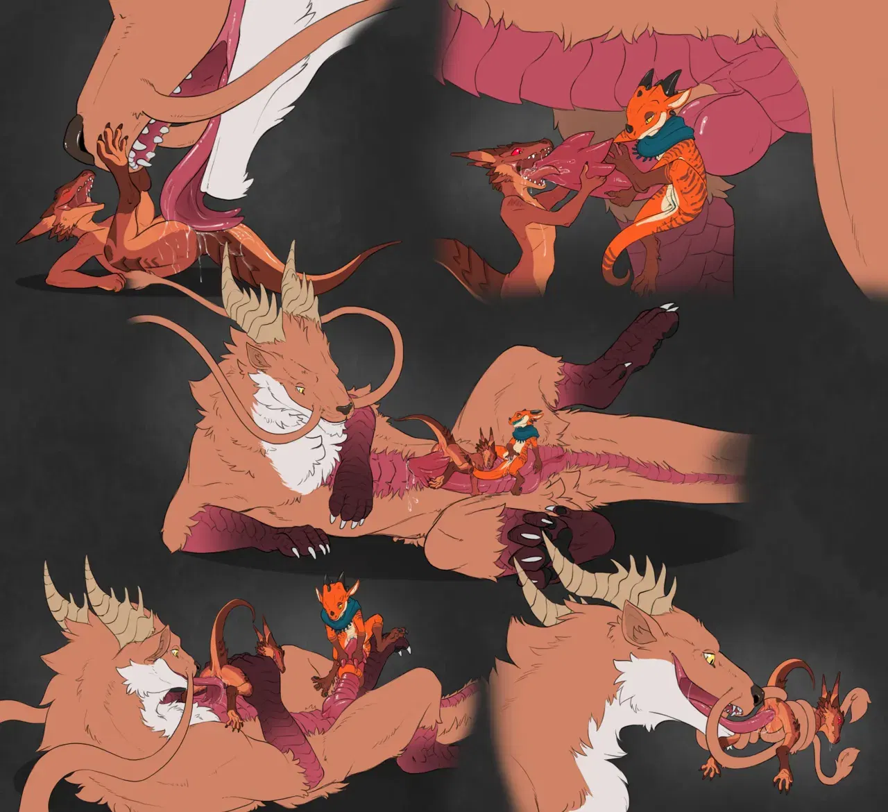 Image #509