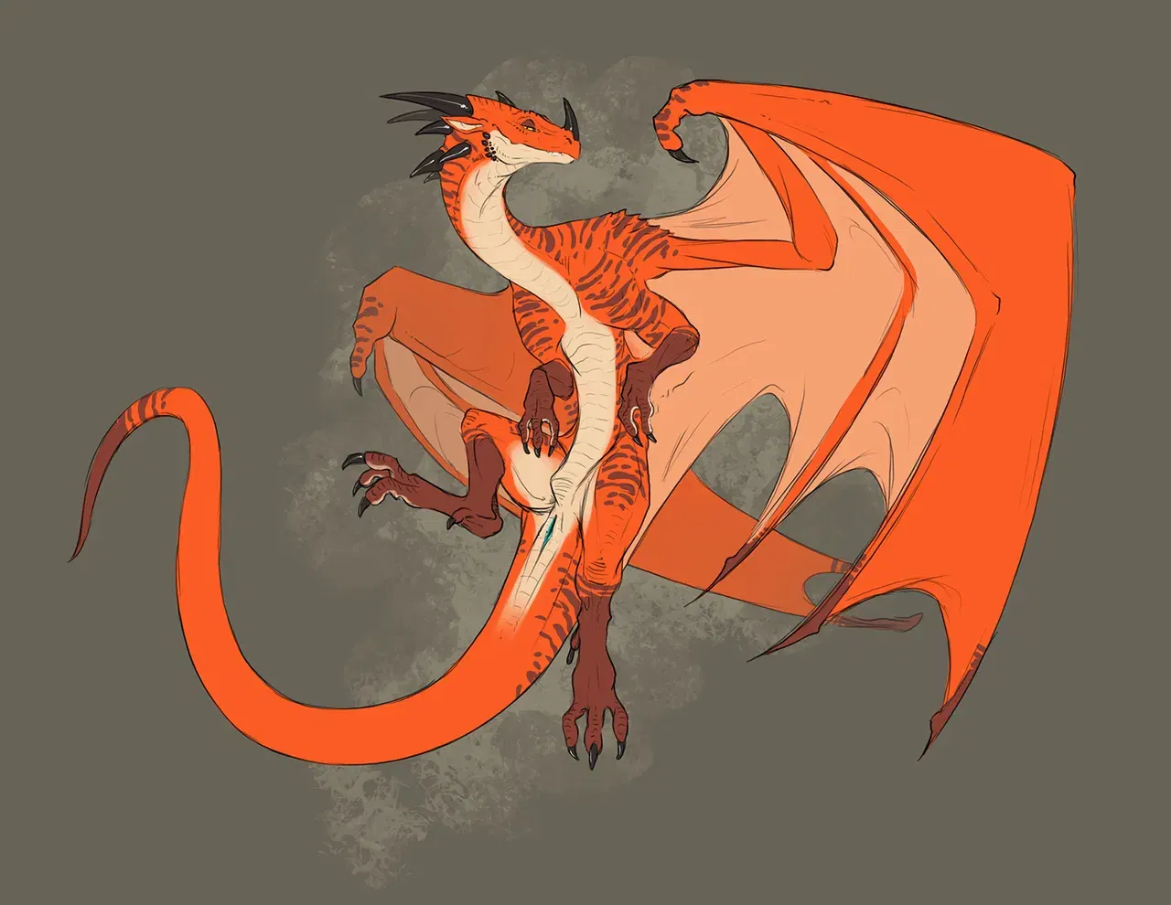 Image #529