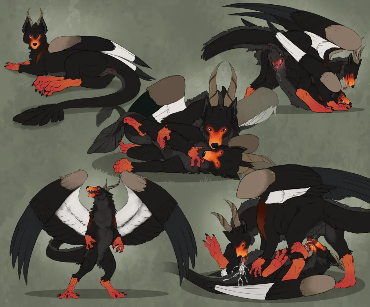 Image #538