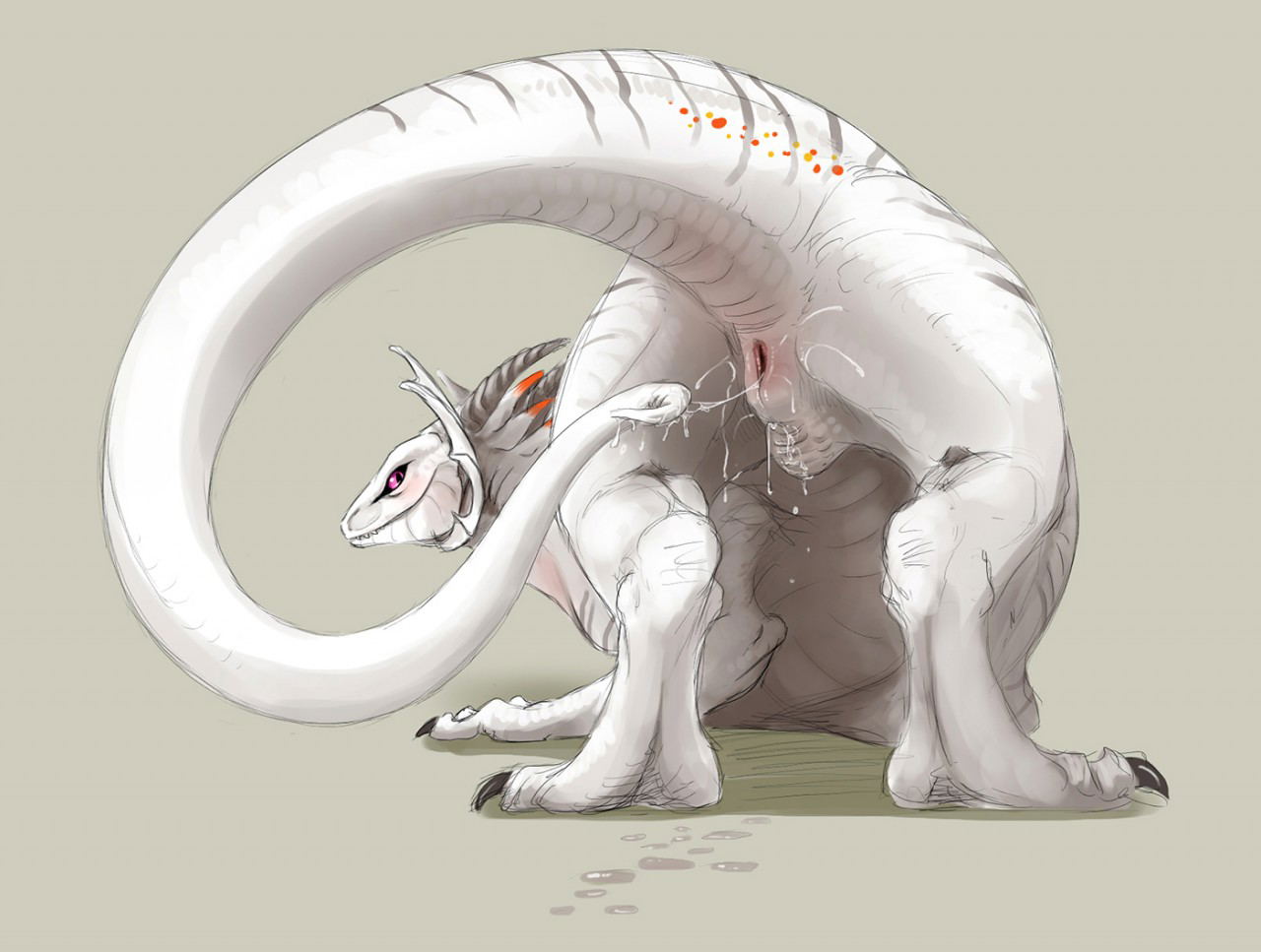 Image #64