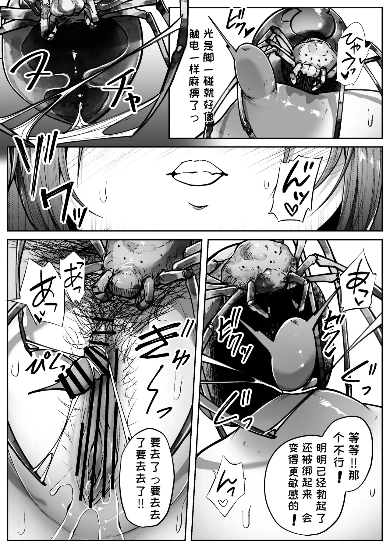 Image #13
