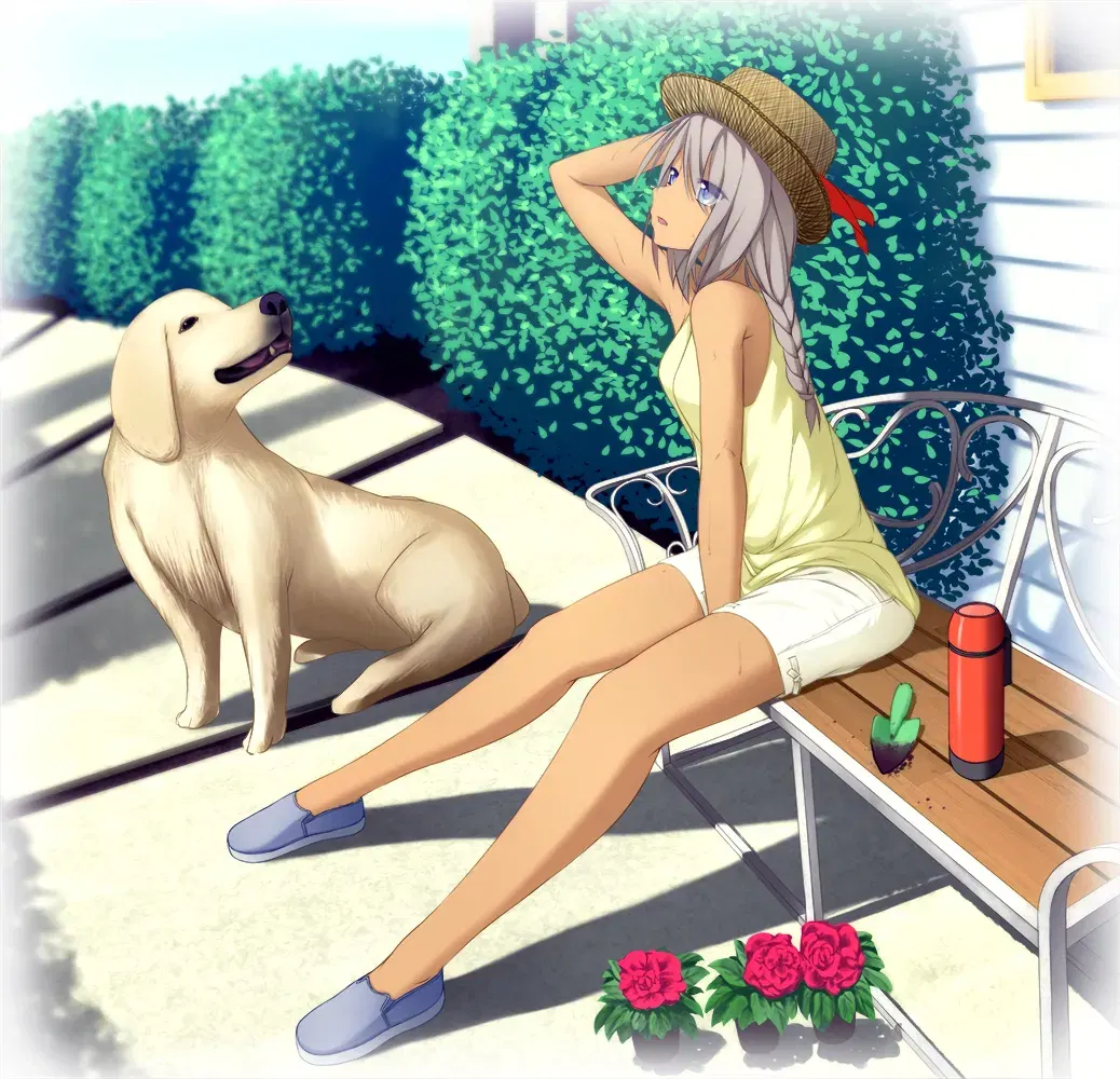 Image #815