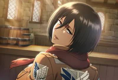 Mikasa Ackerman - Hentai Gallery