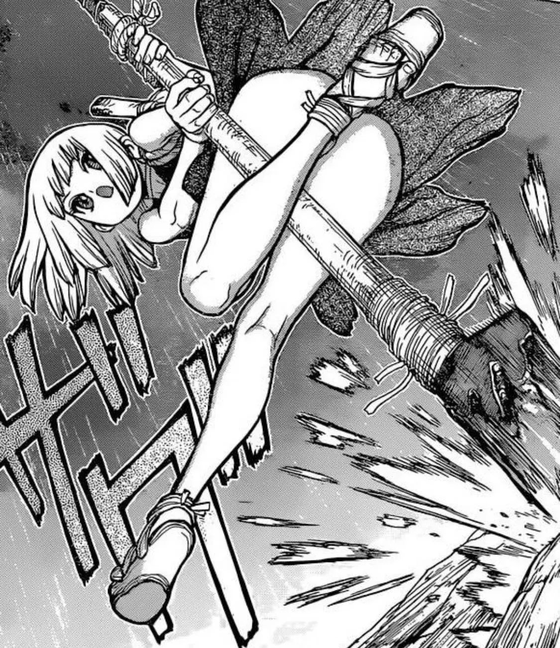 Image #523