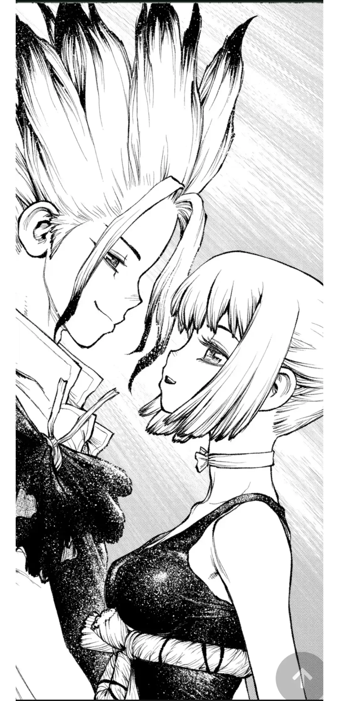 Image #555