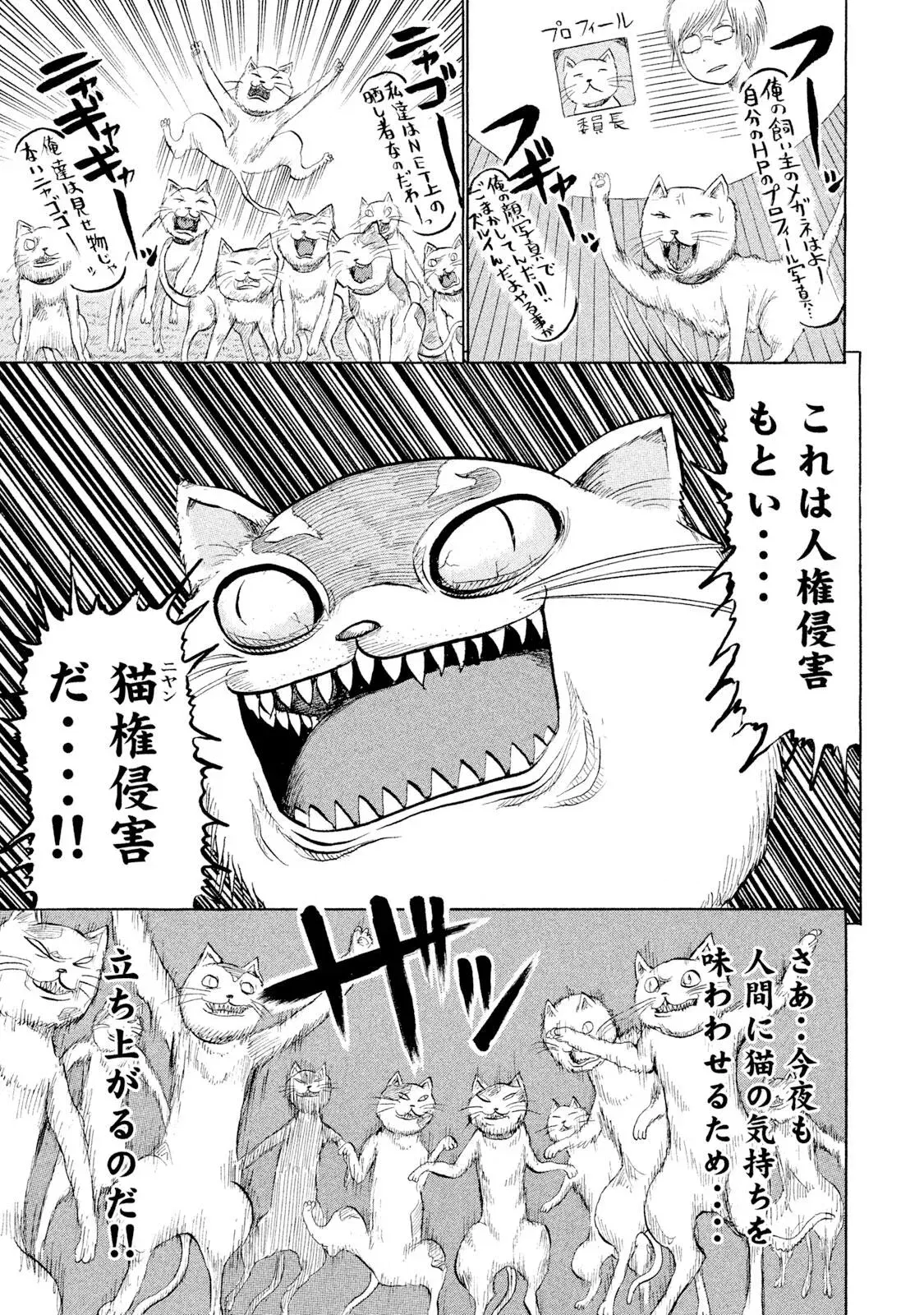 Image #39