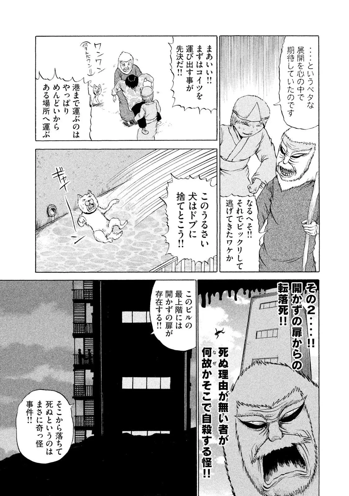 Image #13