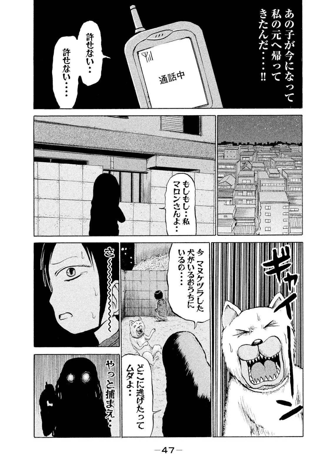 Image #45