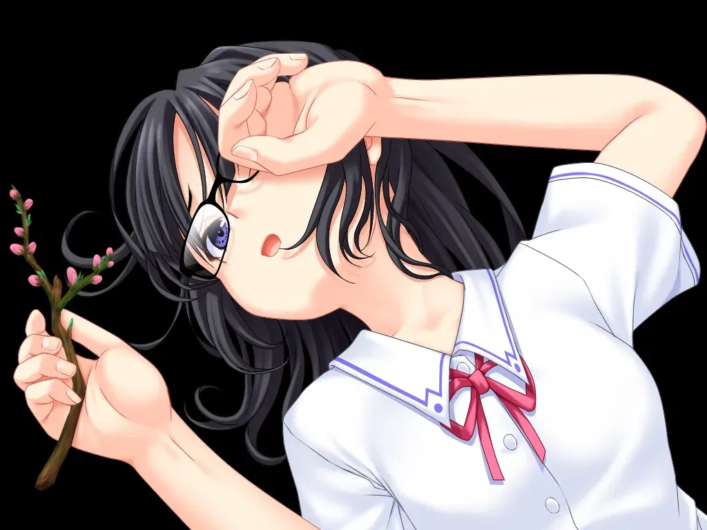Image #11