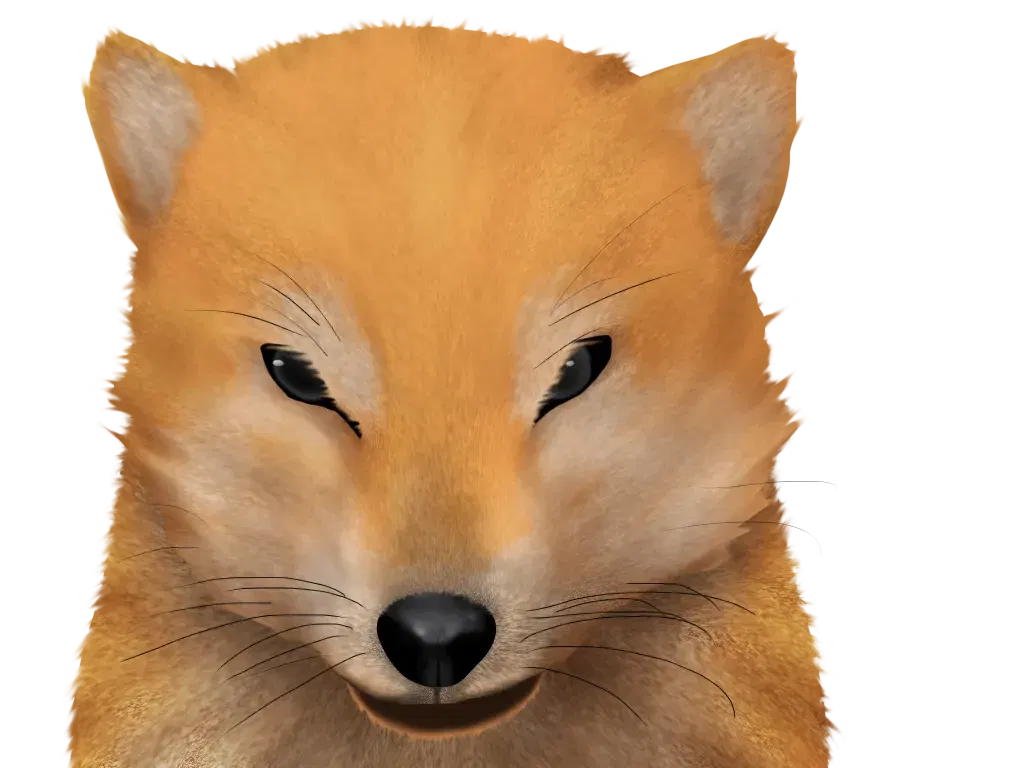 Image #233