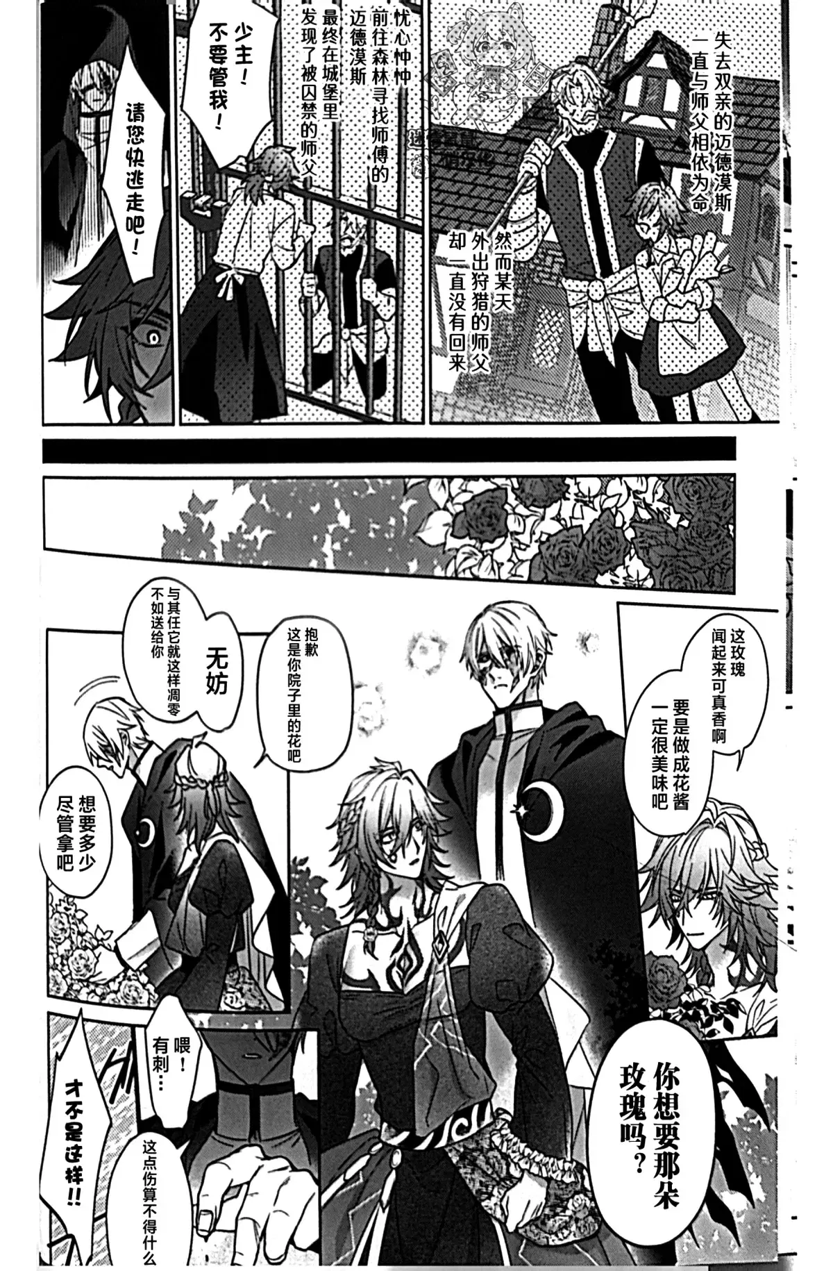 Image #11