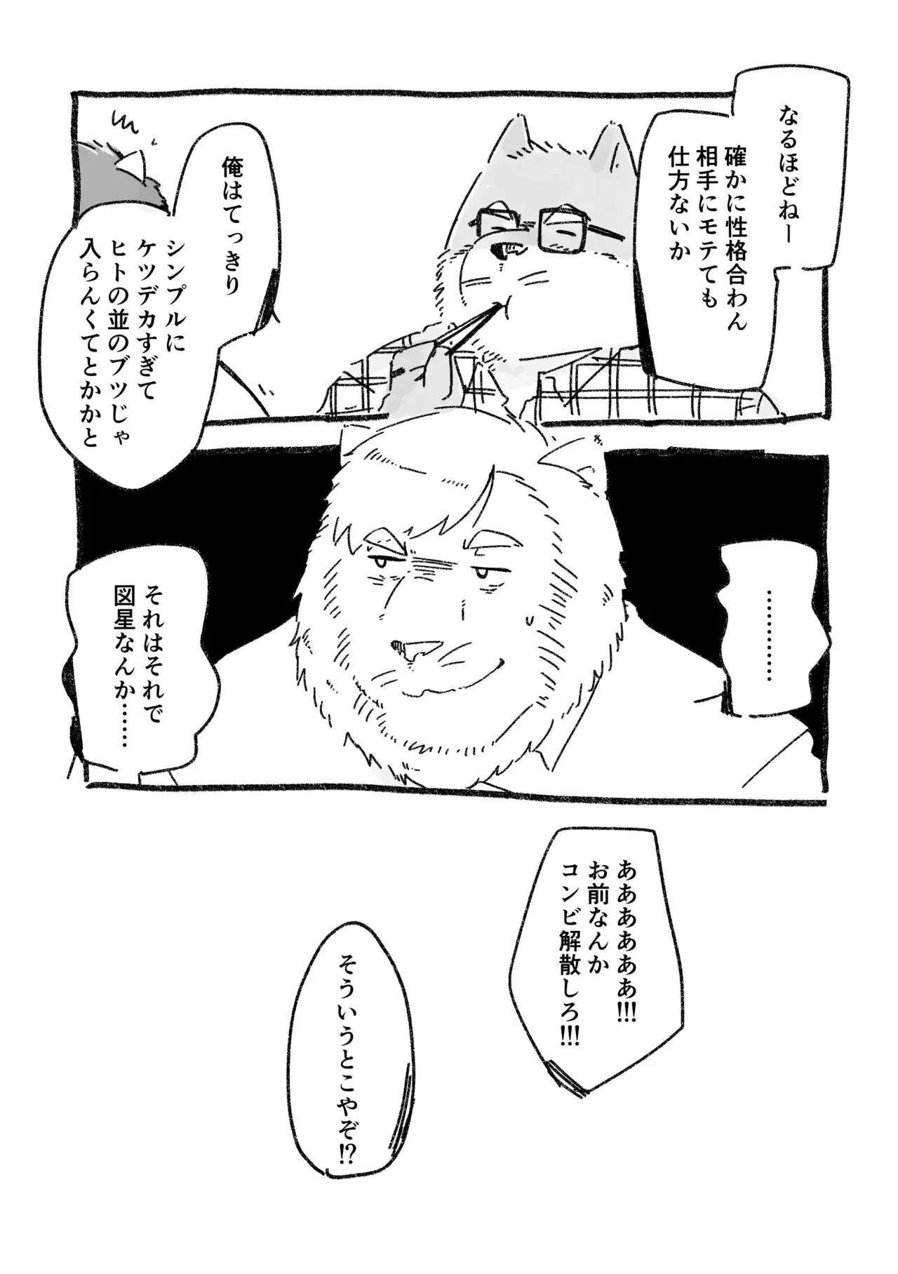 Image #16