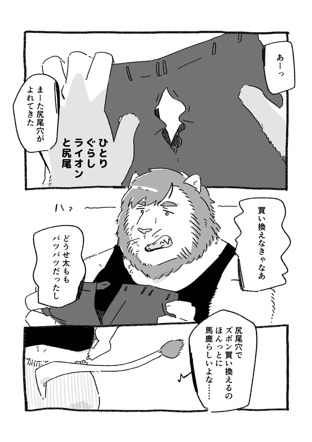 Image #17